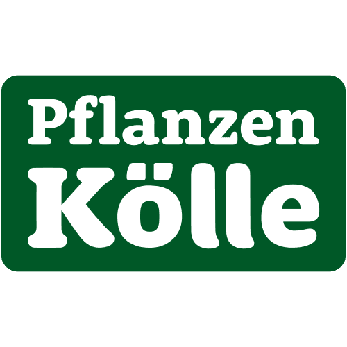 Pflanzen Kölle